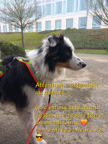 Cali en action